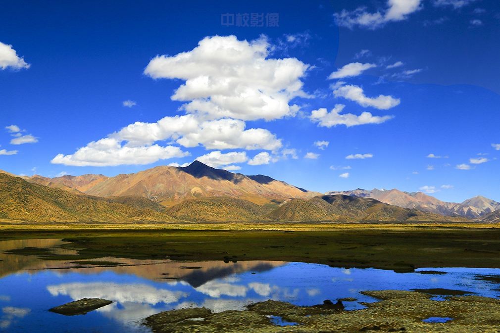 首页| 尊龙(中国集团)官方网站