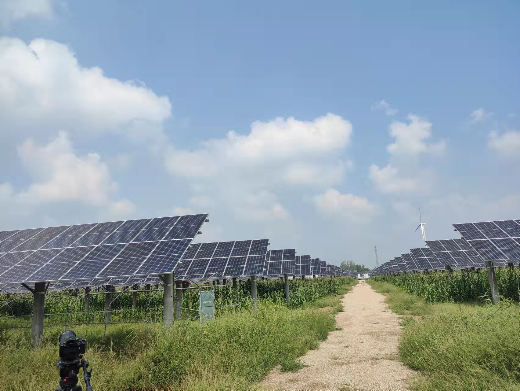 首页| 尊龙(中国集团)官方网站