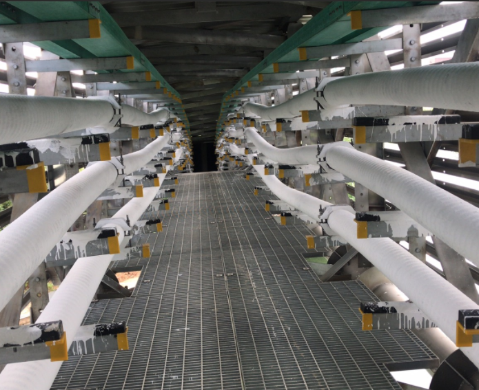 ��ҳ| ����(�й�����)�ٷ���վ