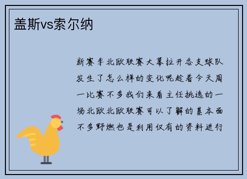 盖斯vs索尔纳